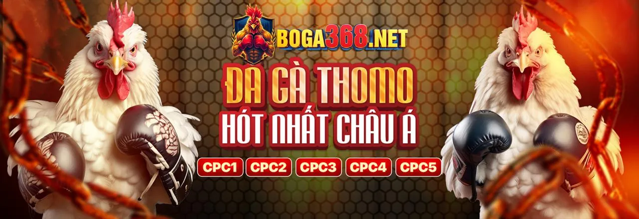 Chính sách cookie của luck8882 đăng nhập